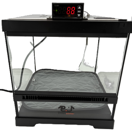 Breeders Series 12x12x12" Puppywarmer Incubator